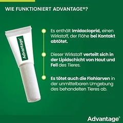 Advantage® katėms ir dekoratyviniams triušiams, Ekonominė pakuotė: 8 pipetės x 0,8 ml (> 4kg) — 2 nuotrauka