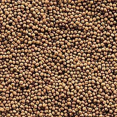 Sera KOI Royal Mini visavertis maistas mažoms koi žuvims, 3800 ml, 1.1 kg — 2 nuotrauka