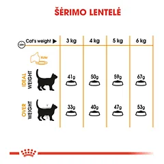 ROYAL CANIN FCN Hair&skin care sausas maistas katėms, sveikam kailiui ir odai 2 kg — 5 nuotrauka
