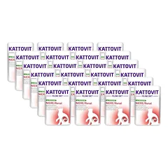 Kattovit Inkstų/žalumynų kalakutiena 24x85g paketėlis