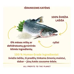 Almo Nature HFC Adult Highly Appetizing Salmon sausas maistas katėms, 300 g — 2 nuotrauka