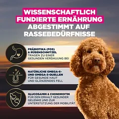 Eukanuba Adult Breed Care pudelis, sausas maistas šunims — 2 nuotrauka