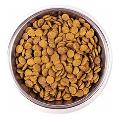 Monge Daily Line super premium sausas maistas katėms su vištiena 1.5kg — 2 nuotrauka