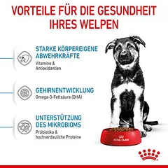 Royal Canin Maxi Puppy sausas maistas šunims, > 10 kg — 4 nuotrauka
