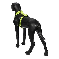 Rukka® Form Neon petnešos, geltonos, Dydis L: 80–130 cm krūtinės apimtis, 40 mm pločio — 2 nuotrauka