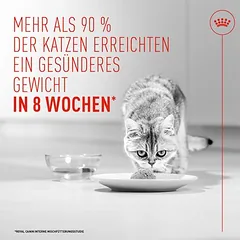 Royal Canin Light Weight Care AirLift Mousse drėgnas maistas katėms — 2 nuotrauka