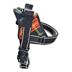 Real Dog petnešos 44-55 cm SM