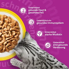Whiskas Megapack 1+ Adult maišeliai, drėgnas maistas katėms 48 x 85 g — 5 nuotrauka