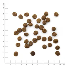 WILDES LAND Classic Kitten sausas maistas kačiukams su vištiena, 400 g — 3 nuotrauka