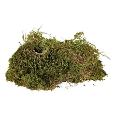 Trixie Terrarium Moss samanos terariumui, 100% natūralios, 200 g — 2 nuotrauka