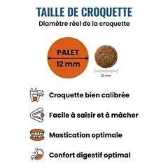 France Croquettes sausas maistas šunims Royal Agneau Medium
