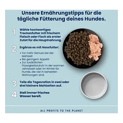 Almo Nature Life Maintenance Adult su lašiša ir ryžiais Large, sausas maistas šunims — 3 nuotrauka