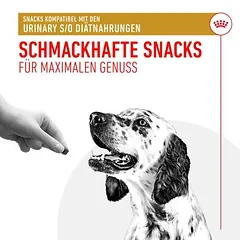Royal Canin Urinary Snacks skanėstai šunims — 5 nuotrauka