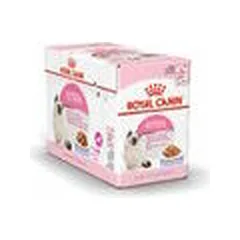 Royal Canin FHN Kitten Instenctive drebučiuose, drėgnas maistas kačiukams 12 x 85 g — 2 nuotrauka