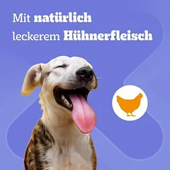 Pedigree Dentastix Hund: Zahnpflege Snacks für kleine Hunde (5-10 kg)