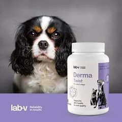 Lab-V Derma Twist papildai šunims ir katėms, odos būklės, sveiko, blizgančio kailio palaikymui, N60 — 2 nuotrauka