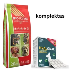 Hyaloral Giant N120 papildai sąnariams +Bio Form CENNAMO sausas pašaras šunims 20kg — 2 nuotrauka