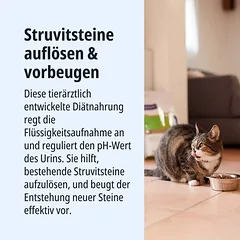 Virbac Veterinary HPM Cat Urology Struvite Dissolution U1, sausas maistas katėms — 3 nuotrauka