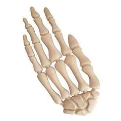 Trixie Halloween Hand žaislas šunims, 15 cm