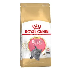 Royal Canin British Shorthair Kitten sausas maistas kačiukams, > 10 kg — 2 nuotrauka