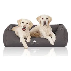 Knuffelwuff ortopedinis vandeniui atsparus guolis šunims Leon, Vidutiniams 11–25 kg — 4 nuotrauka