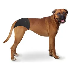 Duvo+ apsauginės kelnaitės šunims, Dideliems 26–45 kg — 4 nuotrauka