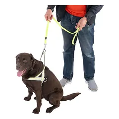 TIAKI pavadėlis šunims Glow in the Dark, Ilgis: apie 120 cm — 5 nuotrauka