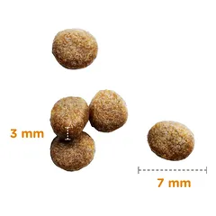 IAMS CAT KITTEN CHICKEN sausas maistas kačiukams su vištiena, 800 g — 2 nuotrauka