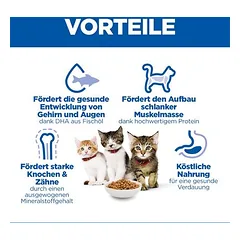 Hill's Science Plan Kitten Huhn, 3 - 4,9 kg — 5 nuotrauka
