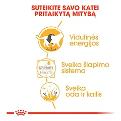 Royal Canin British Shorthair šlapias maistas katėms 24x85g — 4 nuotrauka