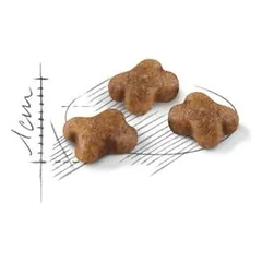 Royal Canin FHN Second Age Kitten maistas kačiukams 0,4 kg — 2 nuotrauka