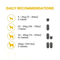 VETZYME HS Flexible Joint papildas sąnariams N30 — 4 nuotrauka