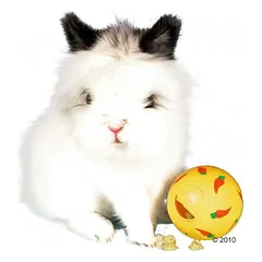 Trixie Snacky Futterball