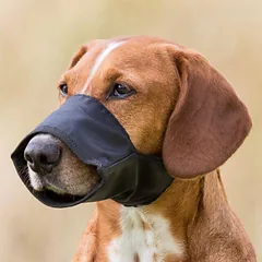 Trixie Muzzle Nylon šunų snukis, dydis L, snukio perimetras 31 cm, ilgis 8.5 cm, juodas