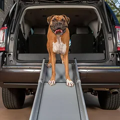 PetSafe Happy Ride kompaktiška teleskopinė šunų rampa - kompaktiška teleskopinė rampa šunims — 2 nuotrauka