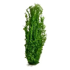 Augalas dirbtinis 80 cm