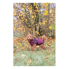 TRIXIE Pirou žieminė striukė su petnešom, S: 40 cm, t.raudona — 5 nuotrauka