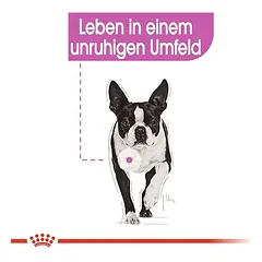 Royal Canin Relax Care Mini sausas maistas šunims — 3 nuotrauka