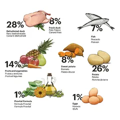 Gosbi begrūdis sausas maistas suaugusiems vidutinių veislių šunims Exclusive Grain Free Adult Duck Medium, 3 kg — 2 nuotrauka