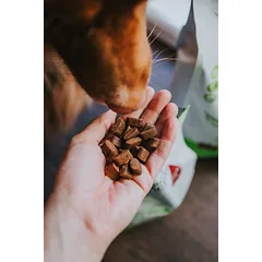 Platinum VetActive Sensitive pašaras jautriam virškinimo traktui šunims, 5kg — 3 nuotrauka