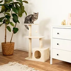 Lionto draskyklė katėms, 85 cm, smėlio spalvos — 3 nuotrauka