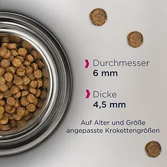 Eukanuba Kitten Grain Free su lašiša, sausas maistas kačiukams, 1,5 - 2,9 kg — 4 nuotrauka