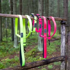 Rukka® rinkinys: Bliss Neon antkaklis ir pavadėlis, Vidutiniams 11–25 kg — 4 nuotrauka