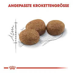 Royal Canin Sterilised 37 sausas maistas katėms, > 10 kg — 4 nuotrauka