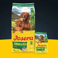 Josera Mother and Puppy sausas pašaras šunims vaikingoms kalėms ir šuniukams su lašišair ryžiais, 12,5 kg — 3 nuotrauka