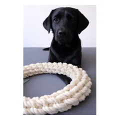Quapas! Žaislas šunims iš natūralios virvės, žiedas, XXL, 40 cm — 3 nuotrauka