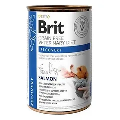 BRIT Veterinary Diet Recovery Lašiša šunims ir katėms 400 g