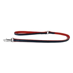Das Lederband Hundeleine Firenze opal/flame