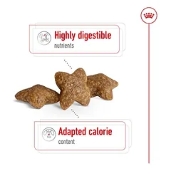 ROYAL CANIN Mini Adult sausas pašaras šunims 8kg, SHN 8kg — 5 nuotrauka