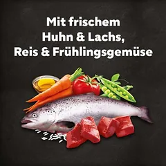 Cesar Adult su vištiena, lašiša ir daržovėmis, sausas maistas šunims, < 1,4 kg — 3 nuotrauka